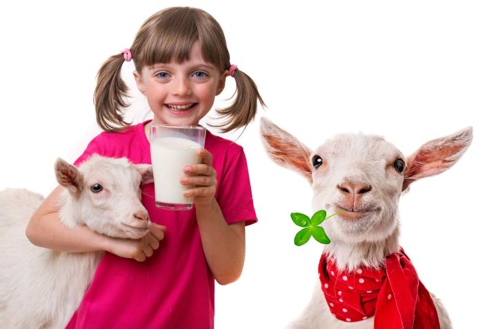 1 Haziran Dünya Süt Günü Sağlıklı yaşam için güvenli süt önemli